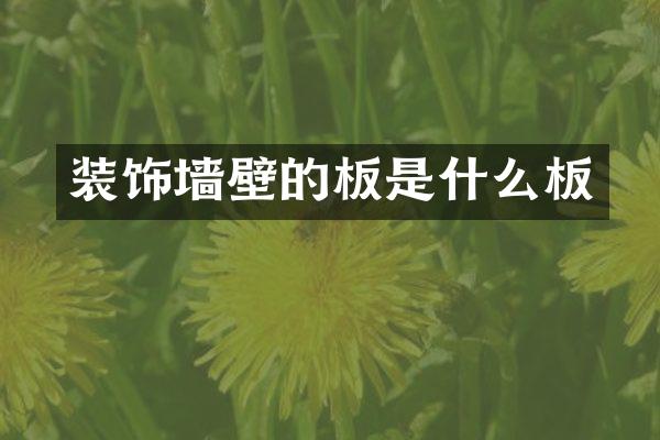 装饰墙壁的板是什么板