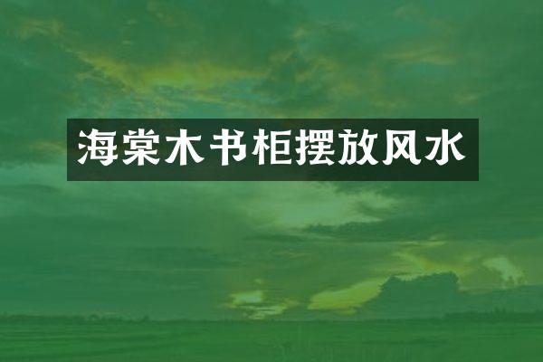 海棠木书柜摆放风水