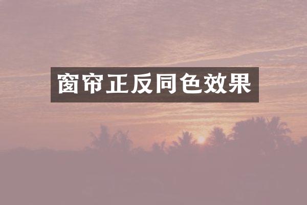 窗帘正反同色效果