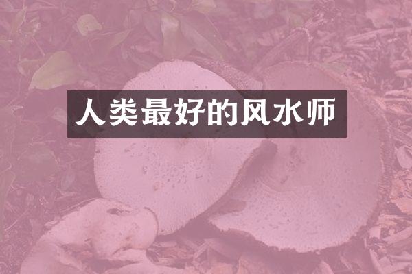 人类最好的风水师