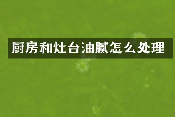 厨房和灶台油腻怎么处理