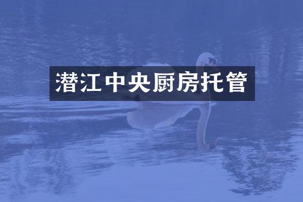 潜江中央厨房托管