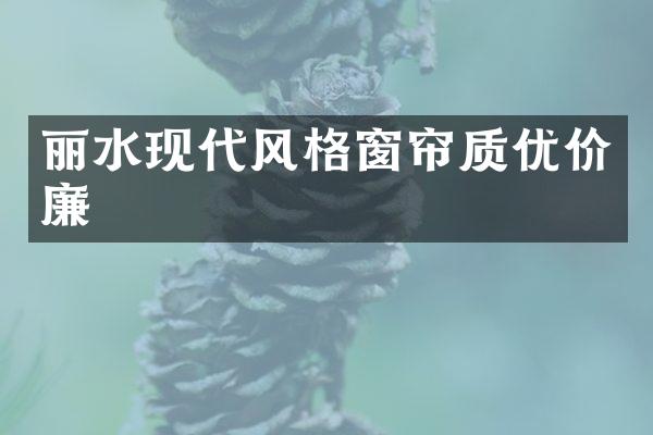 丽水现代风格窗帘质优价廉