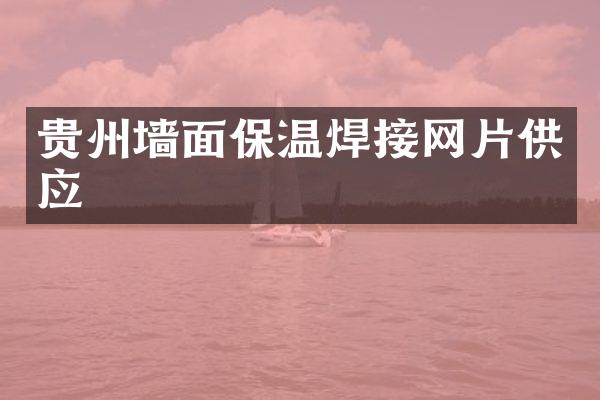贵州墙面保温焊接网片供应