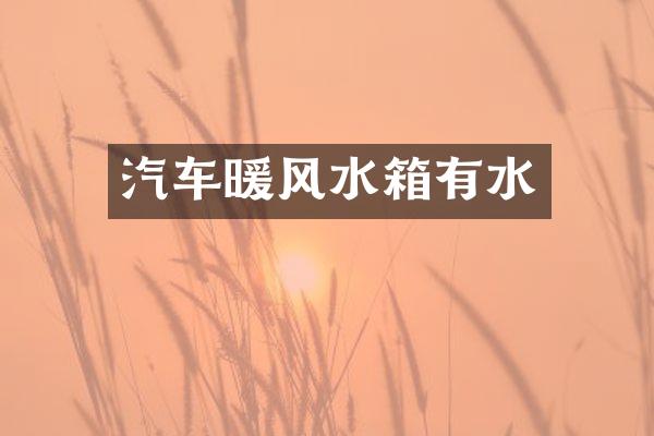 汽车暖风水箱有水