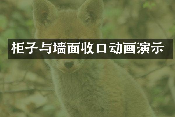 柜子与墙面收口动画演示