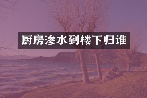 厨房渗水到楼下归谁