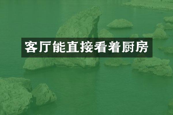 客厅能直接看着厨房