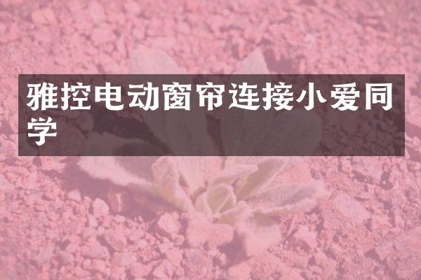 雅控电动窗帘连接小爱同学