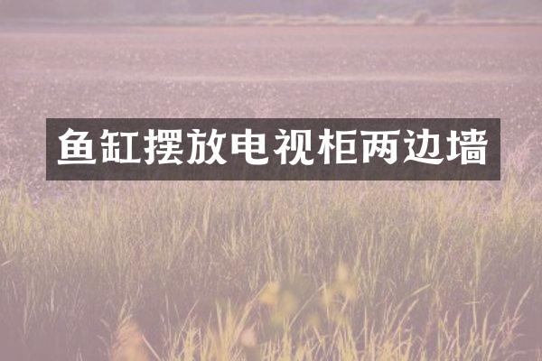 鱼缸摆放电视柜两边墙