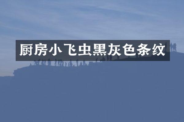 厨房小飞虫黑灰色条纹