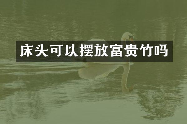 床头可以摆放富贵竹吗