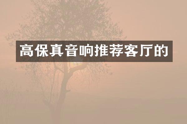 高保真音响推荐客厅的