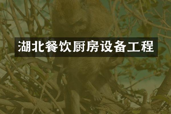 湖北餐饮厨房设备工程