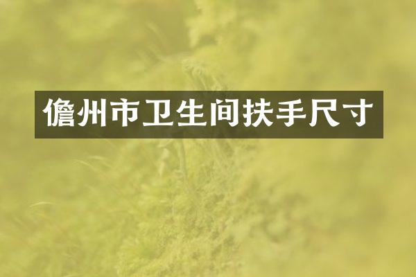 儋州市卫生间扶手尺寸