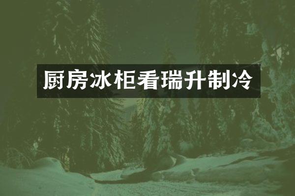 厨房冰柜看瑞升制冷