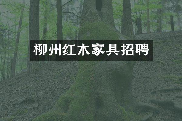 柳州红木家具招聘