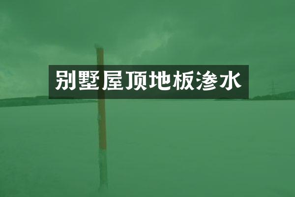 别墅屋顶地板渗水