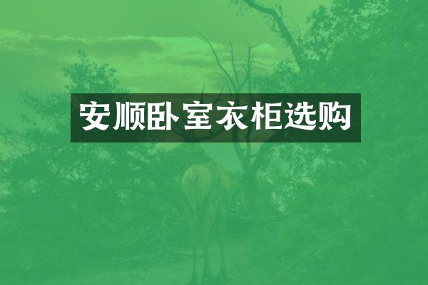 安顺卧室衣柜选购