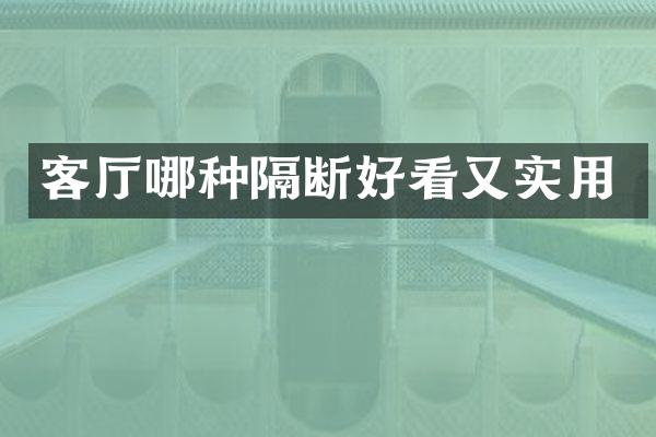 客厅哪种隔断好看又实用