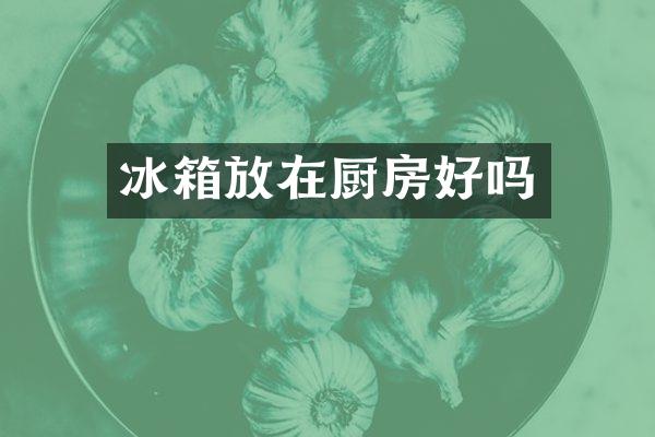 冰箱放在厨房好吗