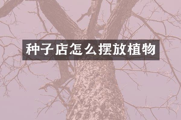 种子店怎么摆放植物