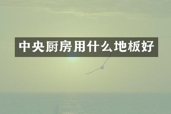 中央厨房用什么地板好