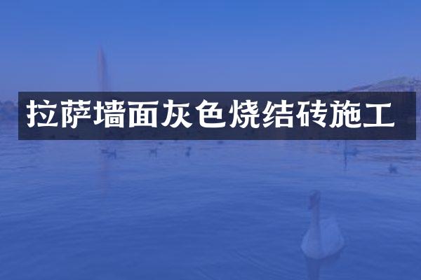 拉萨墙面灰色烧结砖施工