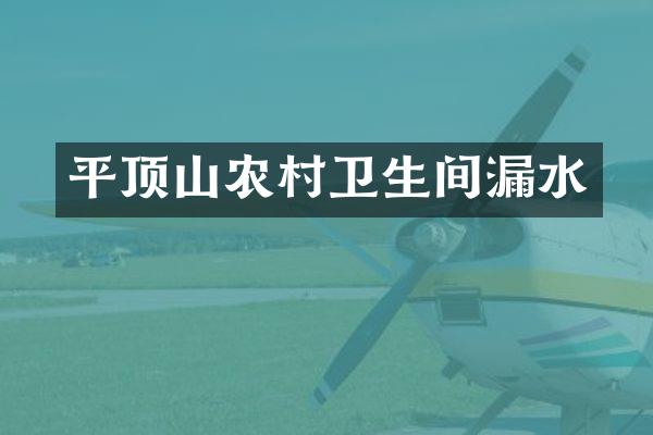 平顶山农村卫生间漏水