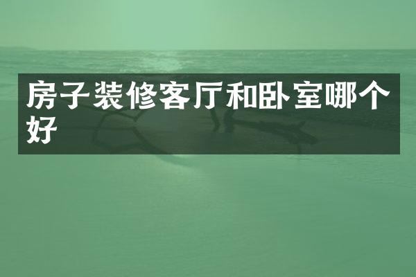 房子装修客厅和卧室哪个好