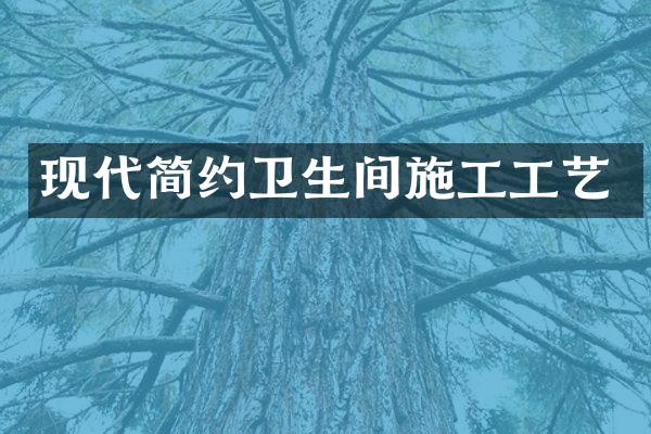 现代简约卫生间施工工艺