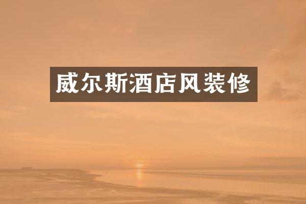 威尔斯酒店风装修