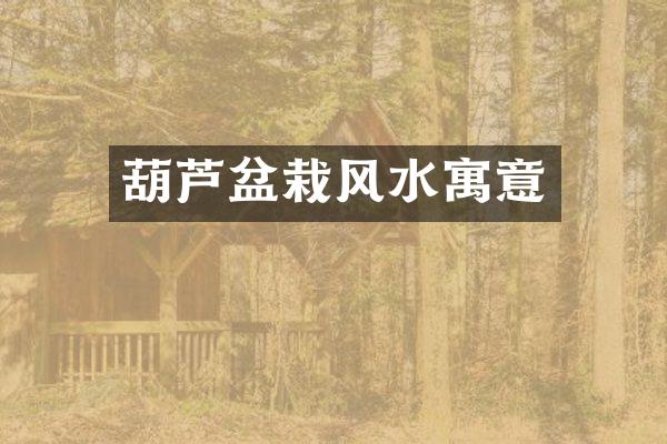 葫芦盆栽风水寓意
