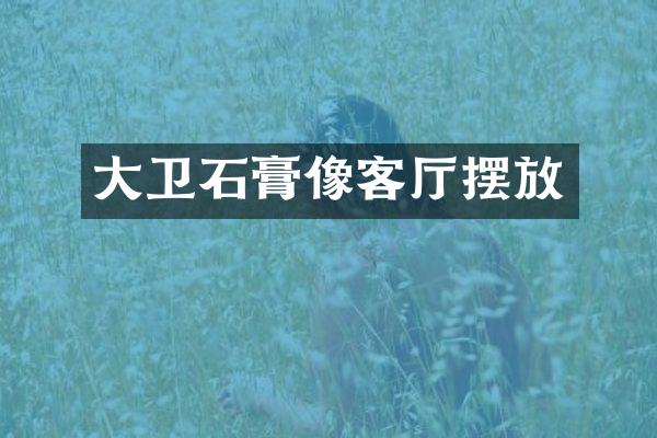 大卫石膏像客厅摆放