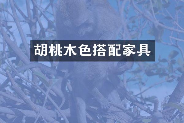 胡桃木色搭配家具