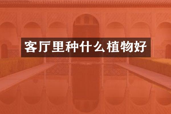 客厅里种什么植物好