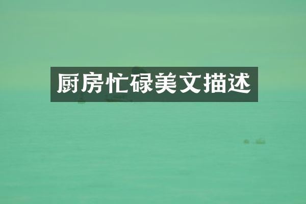 厨房忙碌美文描述
