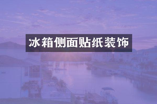 冰箱侧面贴纸装饰