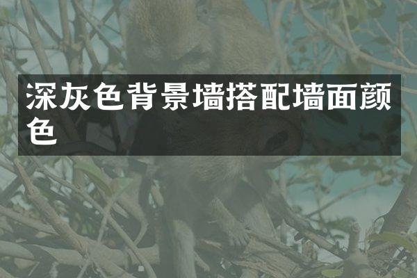 深灰色背景墙搭配墙面颜色