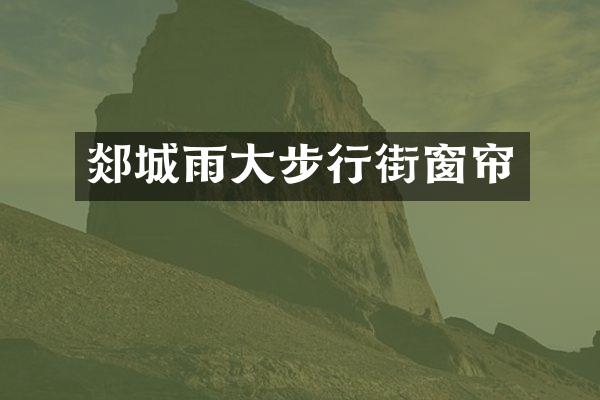 郯城雨大步行街窗帘