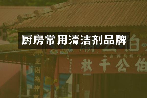 厨房常用清洁剂品牌