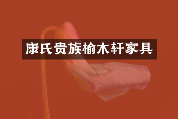 康氏贵族榆木轩家具