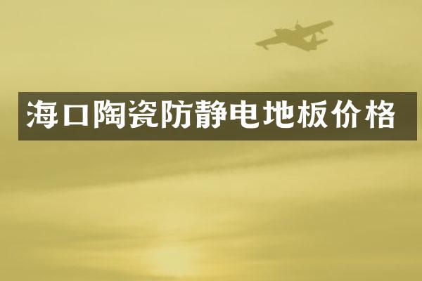 海口陶瓷防静电地板价格