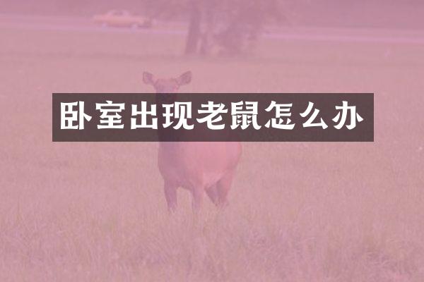 卧室出现老鼠怎么办