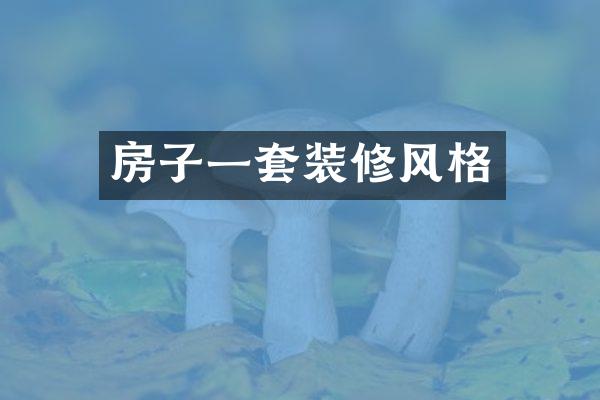 房子一套装修风格