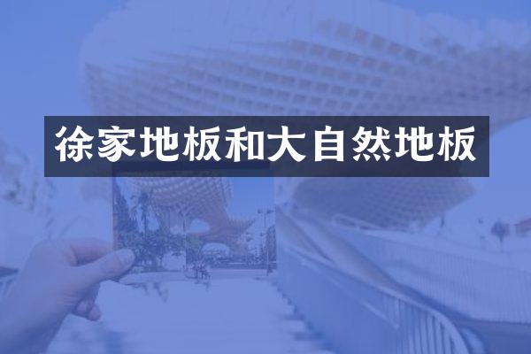 徐家地板和大自然地板