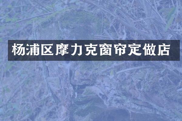 杨浦区摩力克窗帘定做店