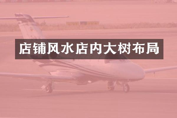 店铺风水店内大树布局