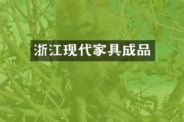 浙江现代家具成品