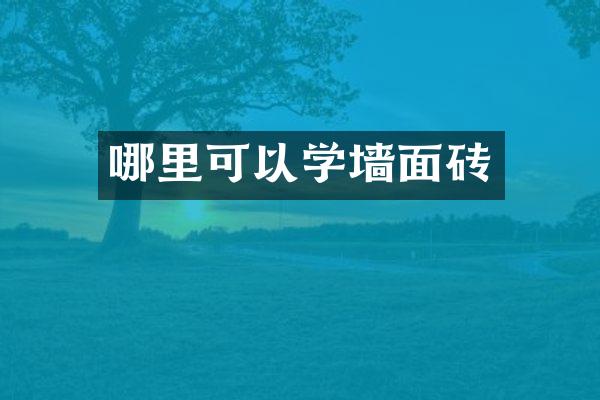 哪里可以学墙面砖